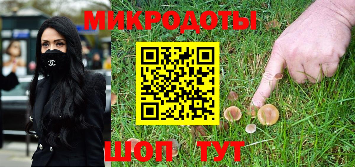 Псилоцибиновые грибы Magic Shrooms  Вход с VPN  Златоуст  Галлюциногенные грибы Psilocybe 