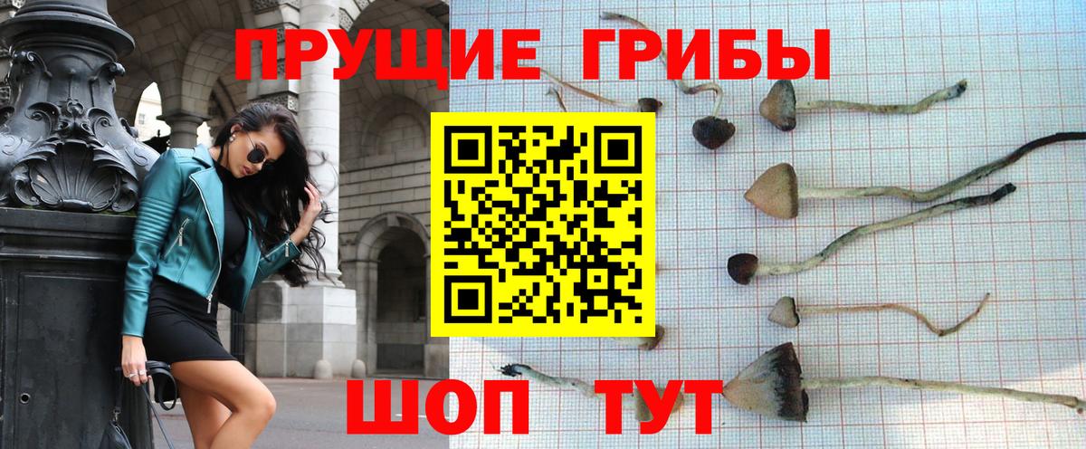 Галлюциногенные грибы GOLDEN TEACHER Златоуст